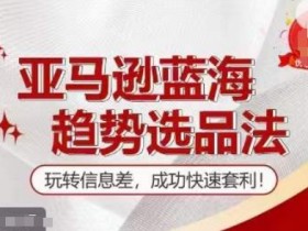 【训练营】亚马逊蓝海趋势选品法，玩转信息差，成功快速套利