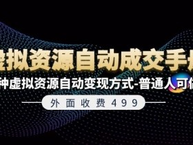 外面收费499《虚拟资源自动成交手册》7种虚拟资源自动变现方式-普通人可做