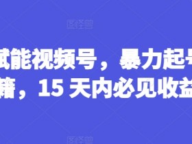 AI赋能视频号，暴力起号秘籍，15 天内必见收益【揭秘】