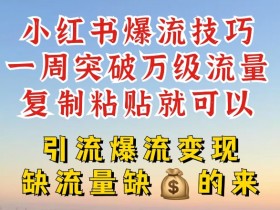 小红书爆流技巧，一周突破万级流量，复制粘贴就可以，引流爆流变现【揭秘】