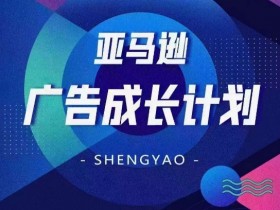 亚马逊广告成长计划，​全面掌握广告矩阵搭建，开源节流，让你的流量来源多元化