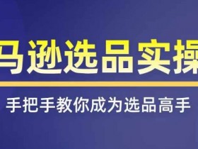 亚马逊选品实操课程，快速掌握亚马逊选品的技巧，覆盖亚马逊选品所有渠道