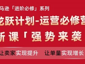 亚马逊进阶必修系列，龙跃计划-运营必修营新课，让卖家实现提升 让单量实现增长