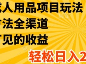 最新成人用品项目玩法，方式方法全渠道，轻松日入2K+【揭秘】