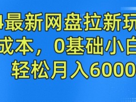 2024最新网盘拉新玩法，无需成本，0基础小白可做，轻松月入6000+【揭秘】