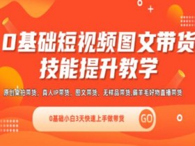 0基础短视频图文带货实操技能提升教学(直播课+视频课),0基础小白3天快速上手做带货