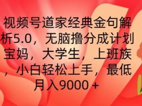 视频号道家经典金句解析5.0.无脑撸分成计划，小白轻松上手，最低月入9000+【揭秘】
