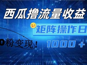 西瓜视频撸流量，简单上手，0粉变现矩阵操作，日入1000+【揭秘】