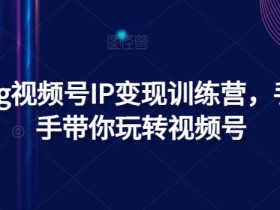 Vlog视频号IP变现训练营，手把手带你玩转视频号