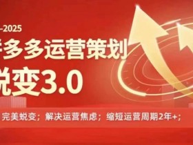 2024-2025拼多多运营策略蜕变3.0，0~1完美蜕变，解决信息焦虑