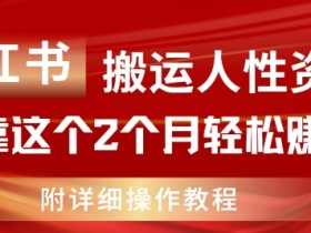 小红书搬运人性资料，有人靠这个2个月轻松赚11w，附教程【揭秘】