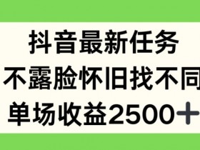 抖音最新任务，不露脸怀旧找不同，单场收益2.5k【揭秘】