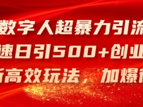AI数字人超暴力引流法，极速日引500+创业粉，最新高效玩法，加爆微信【揭秘】