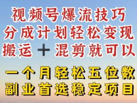 视频号爆流技巧，分成计划轻松变现，搬运 +混剪就可以，一个月轻松五位数稳定项目【揭秘】