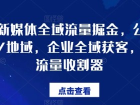 企业新媒体全域流量掘金，公域/私域/地域，企业全域获客，百亿流量收割器