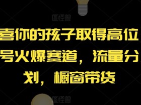 【恭喜你的孩子取得高位】AI视频号火爆赛道，流量分成计划，橱窗带货【揭秘】