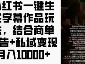小红书一键生成字幕作品玩法，结合商单广告+私域变现月入1w+【揭秘】