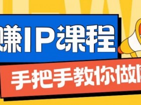 ip合伙人打造1.0，从0到1教你做网创，实现月入过万【揭秘】