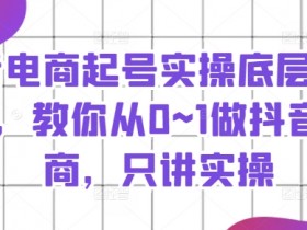 抖音电商起号实操底层逻辑课，教你从0~1做抖音电商，只讲实操
