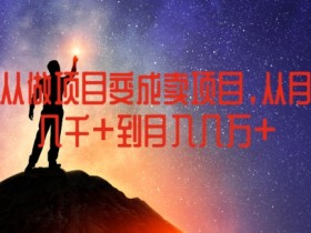 如何从做项目变成卖项目，从月收入几千到月入几万【揭秘】