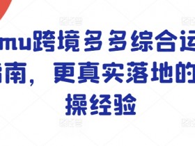 Temu跨境多多综合运营指南，更真实落地的实操经验
