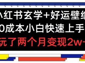 小红书玄学+好运壁纸玩法，0成本小白快速上手，玩了两个月变现2w+ 【揭秘】