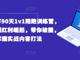 实体获客90天1v1陪跑训练营，实体同城红利崛起，带你破圈，掌握实战内容打法
