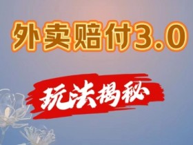 外卖赔付3.0玩法揭秘，简单易上手，在家用手机操作，每日500+【仅揭秘】