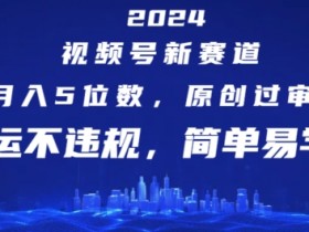 2024视频号新赛道，月入5位数+，原创过审，搬运不违规，简单易学【揭秘】