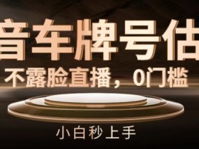 抖音车牌号估值，不露脸直播，0门槛，小白秒上手【揭秘】