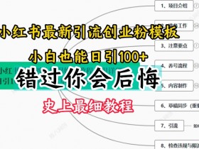 2024小红书引流创业粉史上最细教程，手把手教你引流【揭秘】