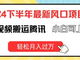 2024下半年最新风口项自，海外视频搬运腾讯，小白可上手，轻松月入过万【揭秘】