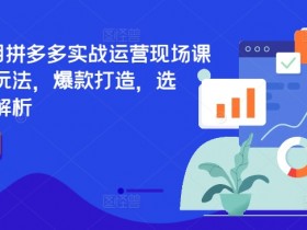 2024年7月拼多多实战运营现场课程，实时玩法，爆款打造，选品、规则解析