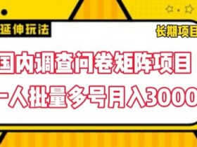 国内调查问卷矩阵项目，一人批量多号月入3000【揭秘】