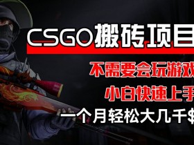 CSGO 装备搬砖项目，操作简单，不需要会玩游戏，小白也能快速上手，一个月轻松大几千【揭秘】
