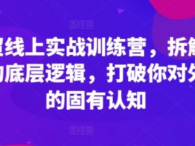 外贸线上实战训练营，拆解外贸的底层逻辑，打破你对外贸的固有认知