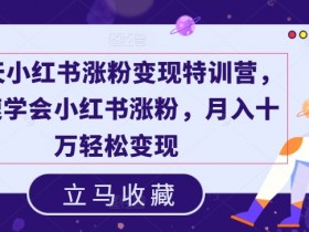 19天小红书涨粉变现特训营，快速学会小红书涨粉，月入十万轻松变现
