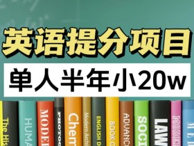 英语提分项目，100%正规项目，单人半年小 20w