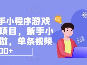 抖音快手小程序游戏发行人项目，新手小白都可做，单条视频收益9000+