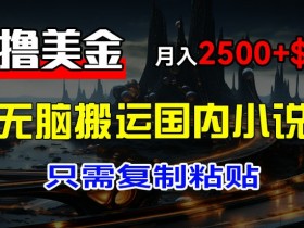 最新撸美金项目，搬运国内小说爽文，只需复制粘贴，稿费月入2500+美金，新手也能快速上手【揭秘】