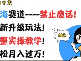 超级干货，蓝海赛道-禁止废话，最新升级玩法，完整实操教学，轻松月入过万【揭秘】