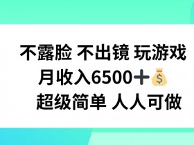 不露脸 不出境 玩游戏，月入6500 超级简单 人人可做【揭秘】