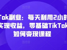 TikTok副业：每天利用2小时在TK实现收益，零基础TikTok上如何变现课程