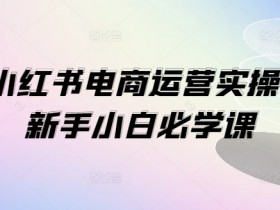 1V1小红书电商运营实操课，新手小白必学课