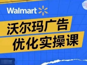 沃尔玛广告优化实操课，广告报告实操讲解，广告如何提高转化和ROAS等