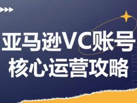 亚马逊VC账号核心玩法解析，实战经验拆解产品模块运营技巧，提升店铺GMV，有效提升运营利润