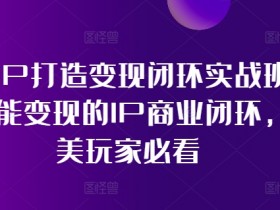 医美IP打造变现闭环实战班，打造能变现的IP商业闭环，医美玩家必看!