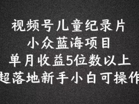 2024蓝海项目视频号儿童纪录片科普，单月收益5位数以上，新手小白可操作【揭秘】