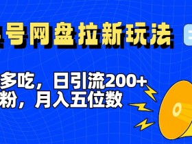 一鱼多吃，日引流200+创业粉，全平台工具号，网盘拉新新玩法月入5位数【揭秘】