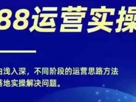 1688实操运营课，零基础学会1688实操运营，电商年入百万不是梦